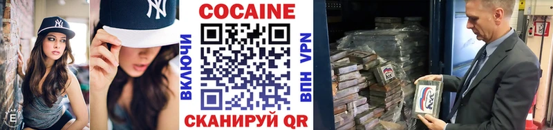 дарнет шоп  Кинешма  hydra маркетплейс  COCAIN Боливия 