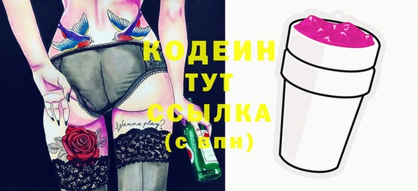 молекула духа Бородино
