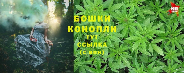 молекула духа Бородино