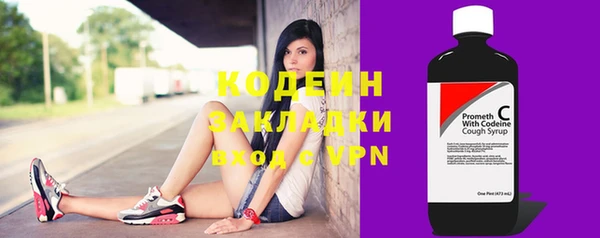 молекула духа Бородино