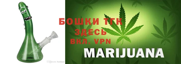 прущий лед Богданович