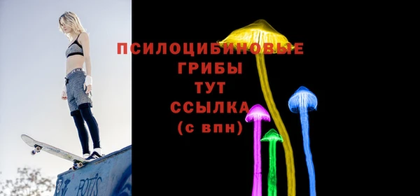 молекула духа Бородино