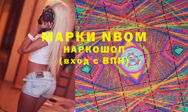 прущий лед Богданович